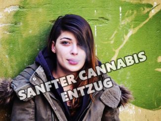 Cannabis Entwöhnung